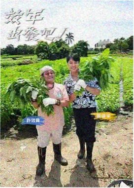 王牌对王牌8 影视大全在线影院
